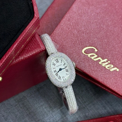 Cartier case study preview